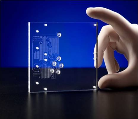 > </div>
<div class=